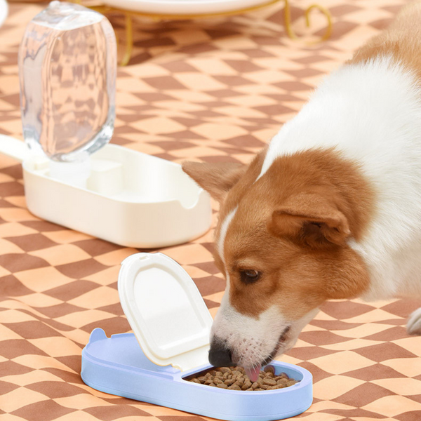 Pakeway Ice Cream Pet Travel Bottle - Blue