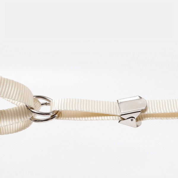 Pet Korean Style Bowknot Harness and Leash