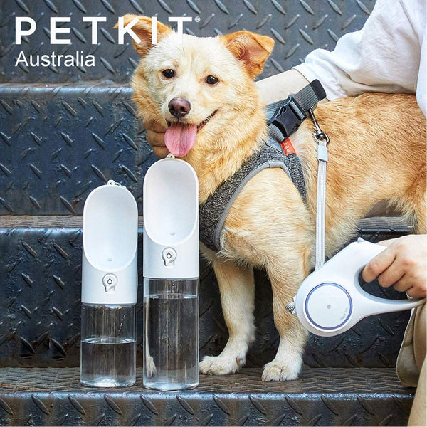 PETKIT Eversweet Travel Water Bottle White 300ml