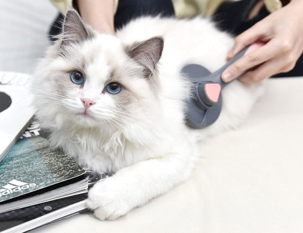 PAKEWAY T9 Pet Slicker Brush Grey