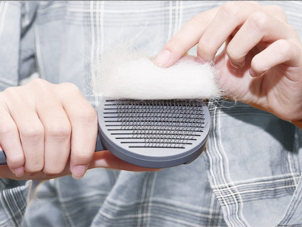 PAKEWAY T9 Pet Slicker Brush Aqua