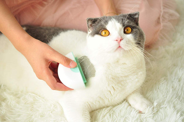 Tomcat Ge-min Pet Comb Coffee