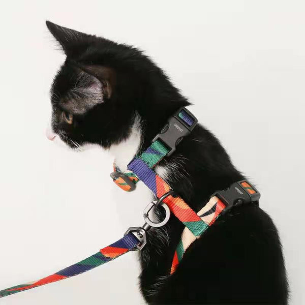 Pidan Harness & Leash Set–A1