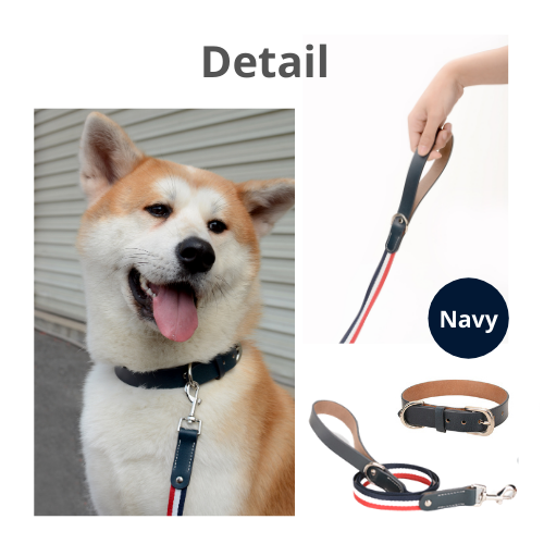 Genuine Leather Pet Neck Metal Buckle Collar & Leash