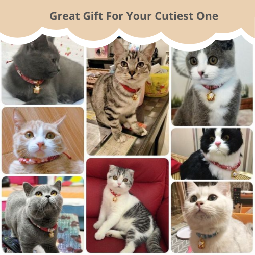 Japanese Inspired Pet Cat Collar