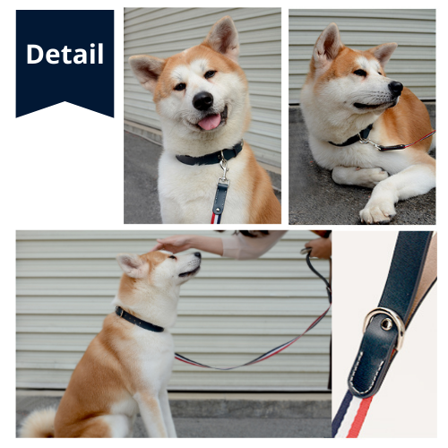 Genuine Leather Pet Neck Metal Buckle Collar & Leash