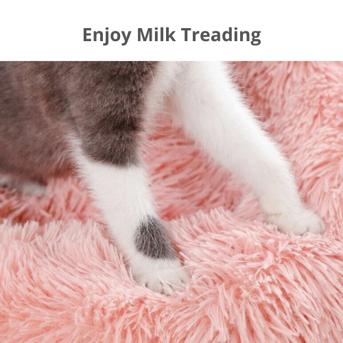 Pet Dog Cat Calming Bed