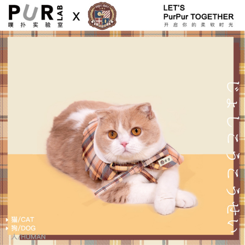 PURLAB JK School Uniform Pet Scarf Collar