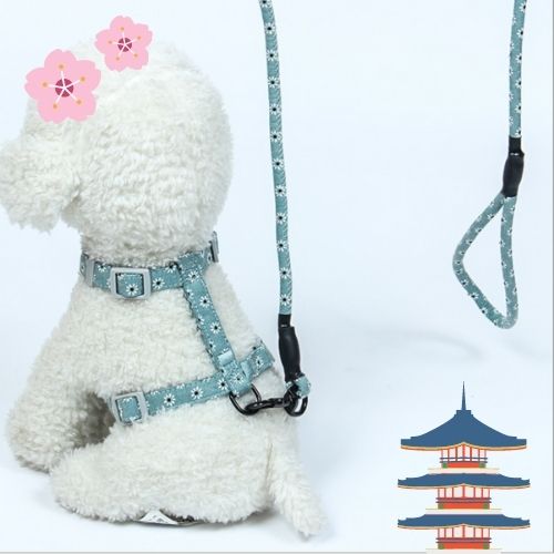 Japanese Inspired Cat Dog Walking Leash