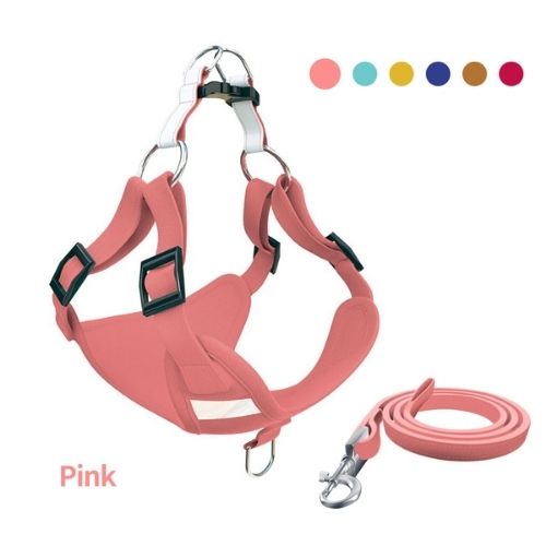 Suede Dog Cat Walking Harness with Leash