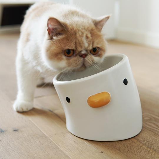 PURROOM Elevated Chick Ceramic Pet Bowl (Tilted)