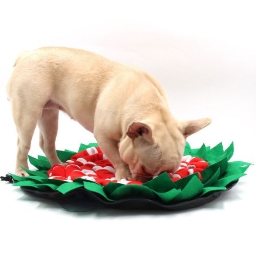 Dog Sniffing Pad Nose Training Mat