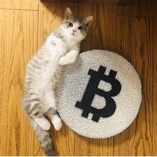 PAPERPARK Double Sides Round Cat Scratcher