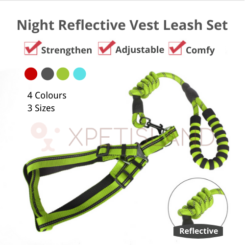 Reflective Night Safe Walking Vest Lead - Large