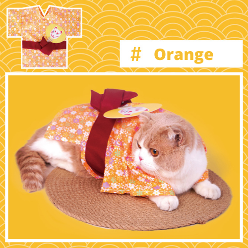 PURLAB Summer Kimono Pet Costume