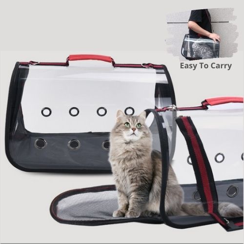 Pet Carrier Foldable Transparency Travel Capsule