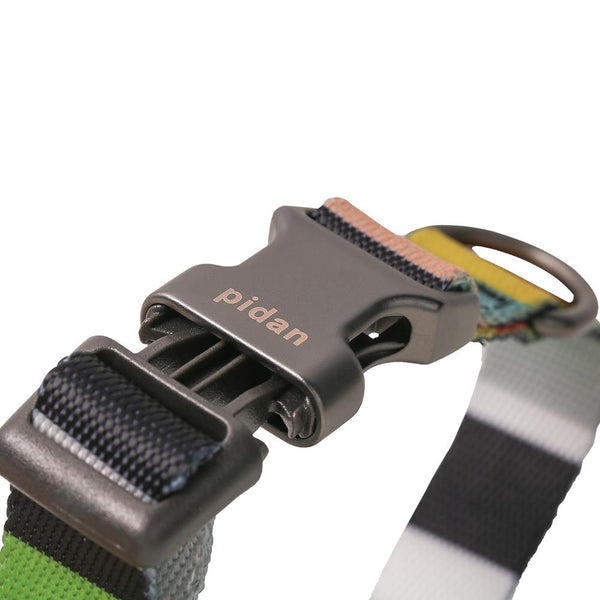 PIDAN COLLAR – DOG – A3