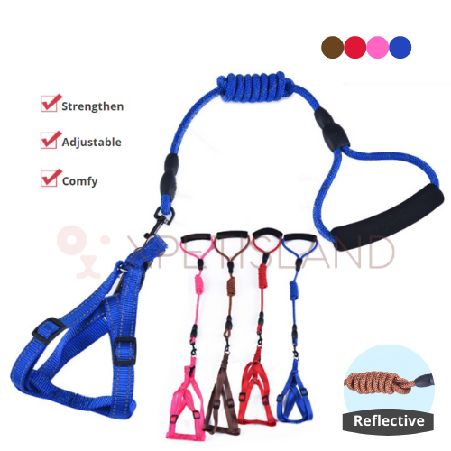 Harness Reflective Vest Lead Set
