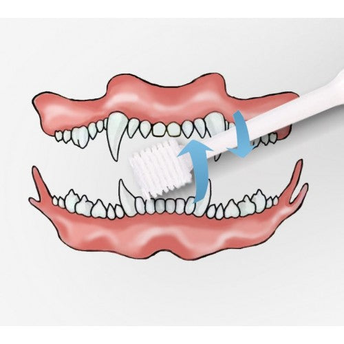 KOJIMA Pet 360 Degree Toothbrush