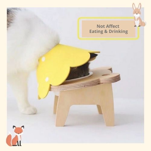 Pet Adjustable Soft Healing Cone Elizabethan Collar