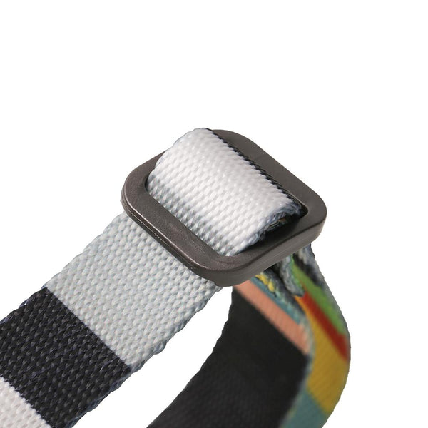 PIDAN COLLAR – DOG – A3