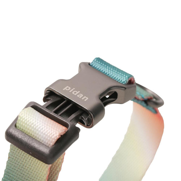 PIDAN COLLAR – DOG – A2