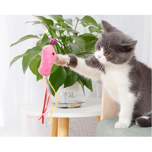 Cat Wired Feather Teaser Wand