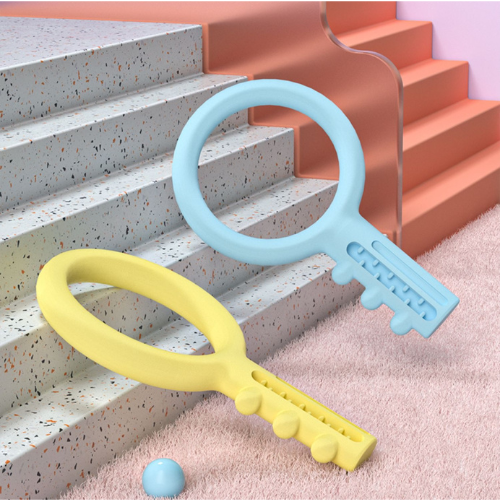 PETSHY Dog Interactive Bite Toy Key Style