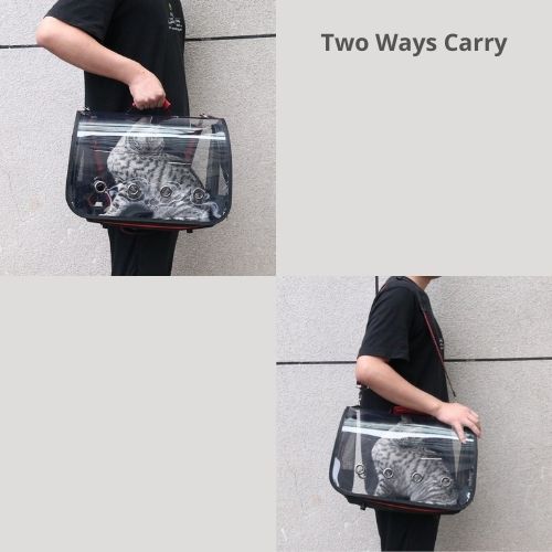 Pet Carrier Foldable Transparency Travel Capsule