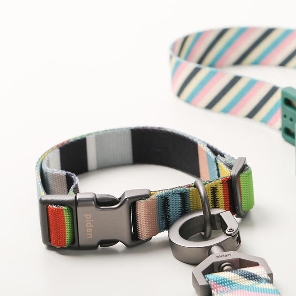 PIDAN COLLAR – DOG – A3