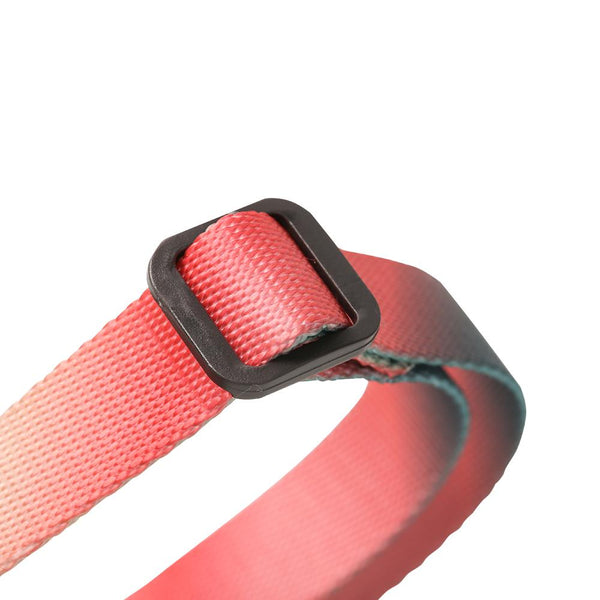 PIDAN COLLAR – DOG – A2