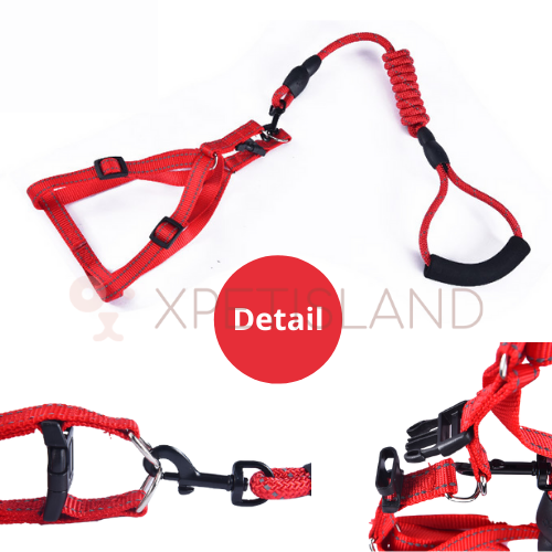 Harness Reflective Vest Lead Set