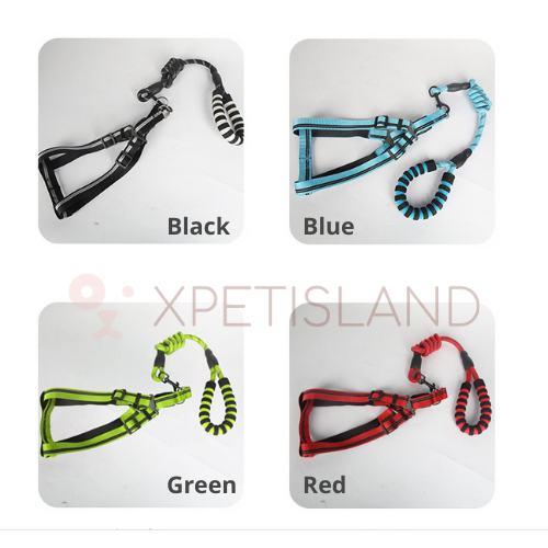 Reflective Night Safe Walking Vest Lead - Large