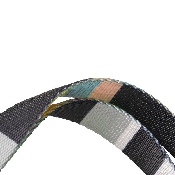 PIDAN COLLAR – DOG – A3