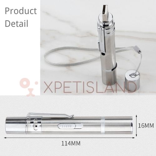 Cat Play Laser Pointer