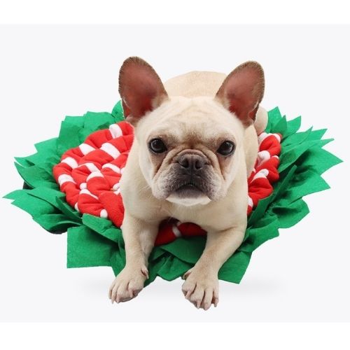 Dog Sniffing Pad Nose Training Mat