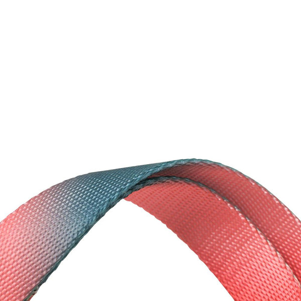 PIDAN COLLAR – DOG – A2