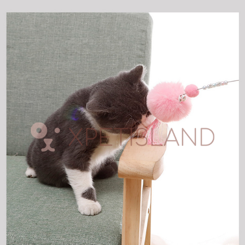 Cat Teaser Wand Gift Set - 3 Pcs