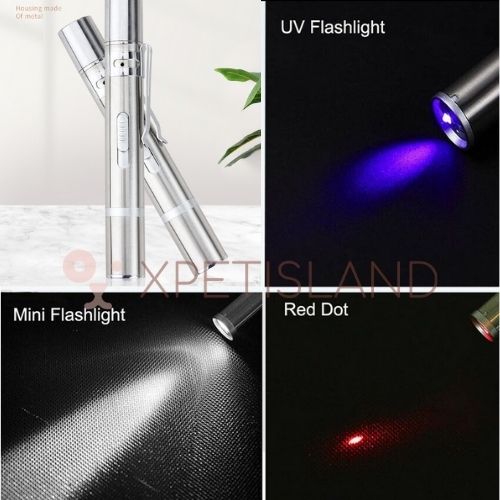 Cat Play Laser Pointer