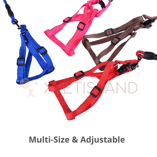 Harness Reflective Vest Lead Set