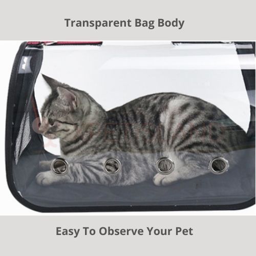 Pet Carrier Foldable Transparency Travel Capsule
