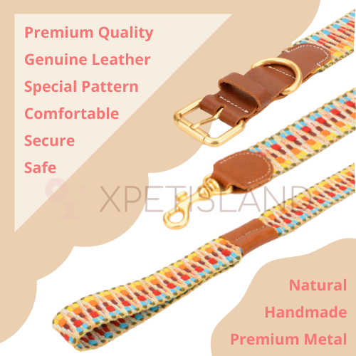 Luxury Genuie Leather Dog Collar Leash Gift Set