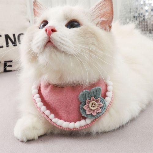 Pet Dog Cat Birthday Scarf