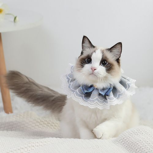 Pet Cat Dog Lace Lovely Scarf Collar