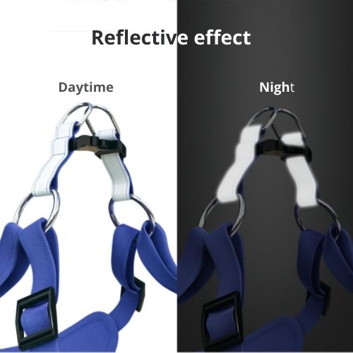 Suede Dog Cat Walking Harness with Leash