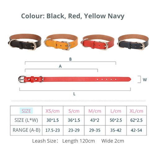 Genuine Leather Pet Neck Metal Buckle Collar & Leash