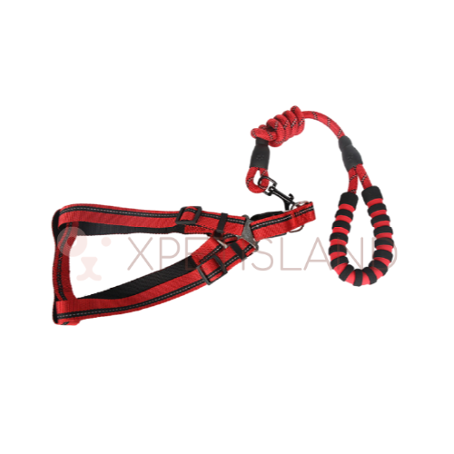 Reflective Night Safe Walking Vest Lead - Large