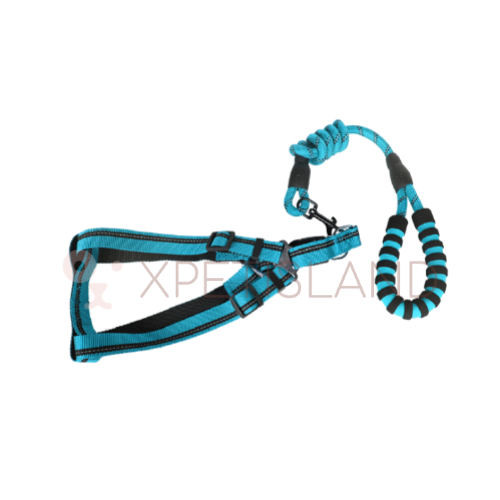 Reflective Night Safe Walking Vest Lead - Large