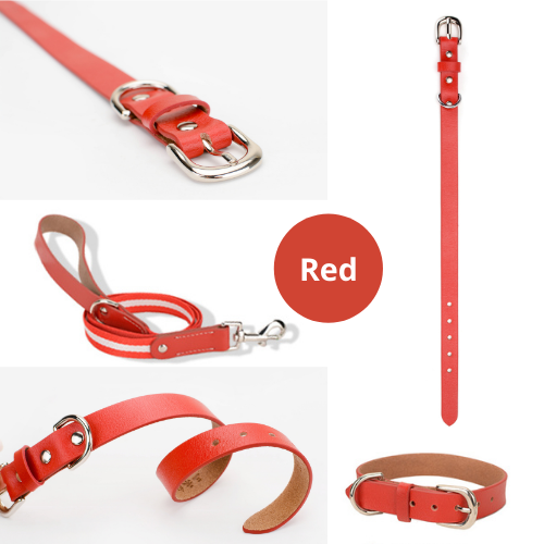 Genuine Leather Pet Neck Metal Buckle Collar & Leash