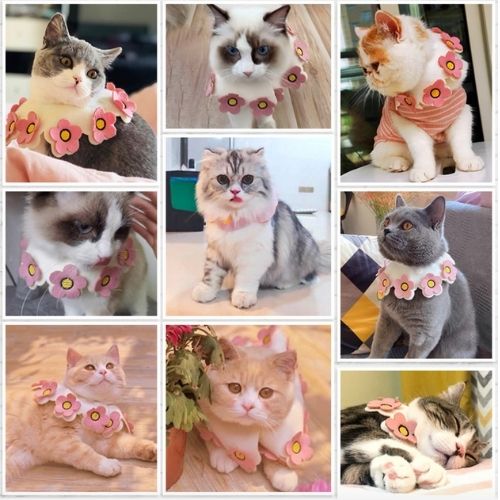 Dog Cat Wool Collar Cute Neck Scarf